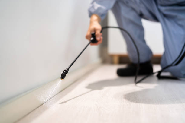 Rodent Entry Point Assessment in Sugar Land