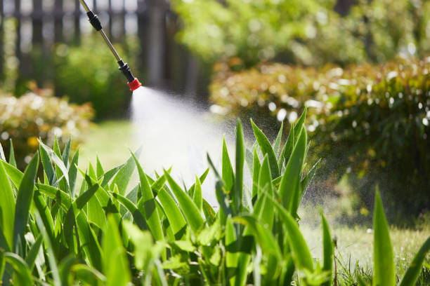 Tamper-Resistant Bait Stations for Rodents in Sugar Land