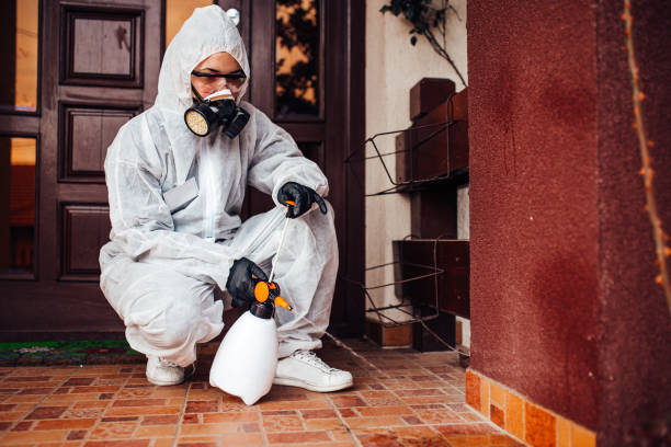 Attic and Crawl Space Rodent Treatment in Sugar Land