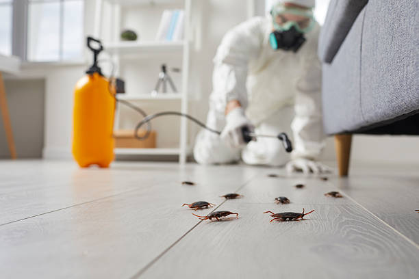 Commercial Rodent Management in Sugar Land